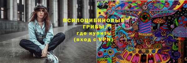 прущая мука Козловка