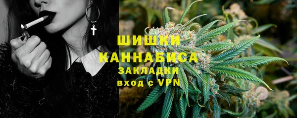 соль ск Козельск