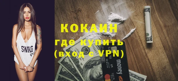соль ск Козельск