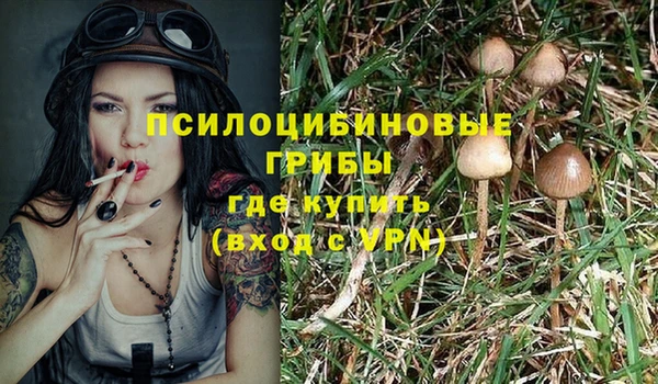 соль ск Козельск
