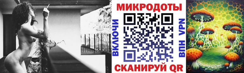 Галлюциногенные грибы Cubensis  Ленинск 